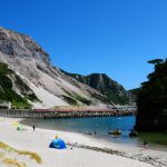 夏季繁忙期のご予約について