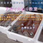 宿泊自然教室「アカイカ釣り教室」募集